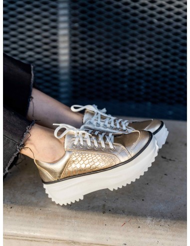 Josefa Reptil Dorado