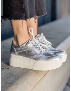 Yorka Plateado Pitón 2