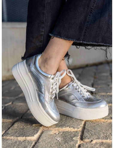 Yorka Plateado Pitón