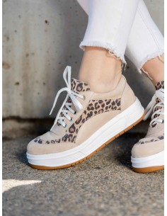 Colomba Print Arena 2